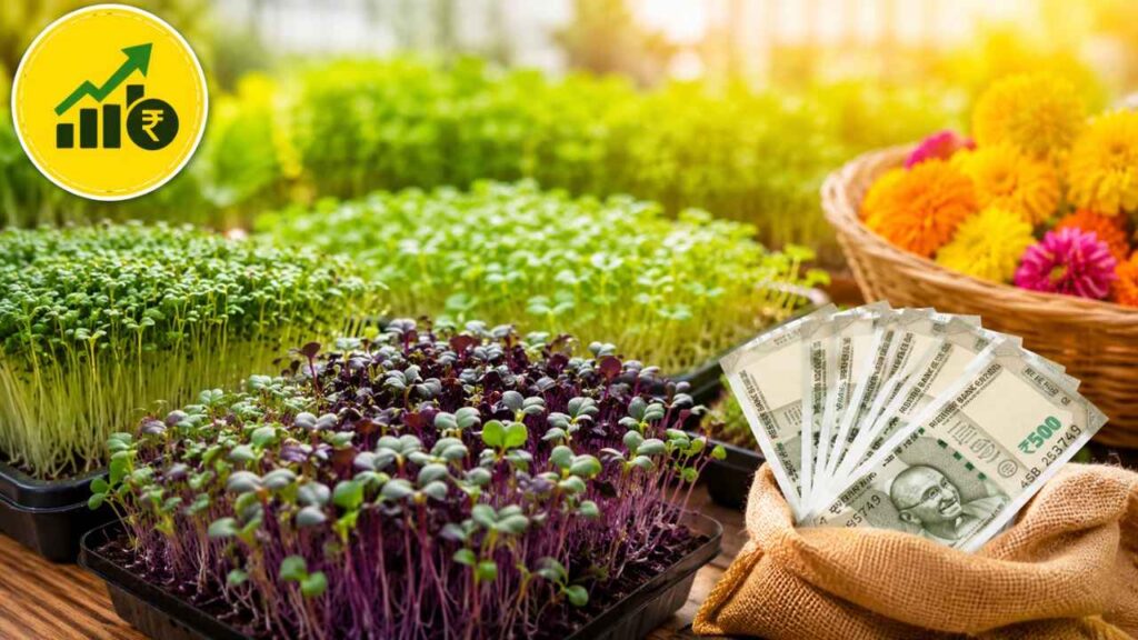  Which Agricultural Produce Is Produced Monthly? दर महिन्याला पैसे देणारी शेती कोणती?