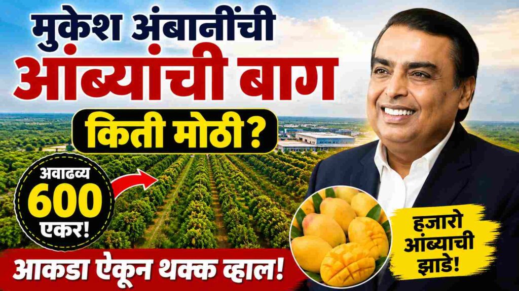  Mukesh Ambani Mango Garden: 600 एकरांवरील आशियातील सर्वात मोठ्या खासगी आंबा बागेची रंजक कहाणी