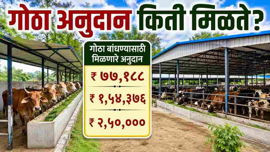 गोठा बांधण्यासाठी मिळणार २.५ लाख रुपयांचे अनुदान; अर्जाची संपूर्ण प्रक्रिया जाणून घ्या! How much is the cowshed subsidy?