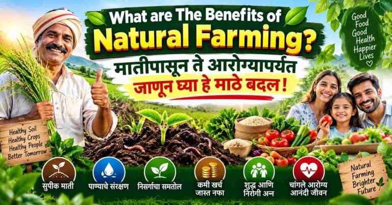 What are The Benefits of Natural Farming?मातीपासून ते आरोग्यापर्यंत जाणून घ्या हे मोठे बदल!