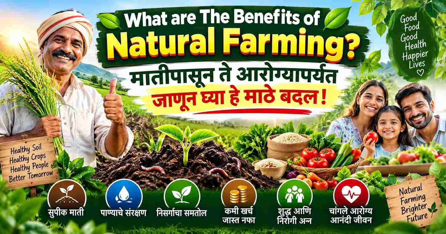 What are The Benefits of Natural Farming?मातीपासून ते आरोग्यापर्यंत जाणून घ्या हे मोठे बदल!